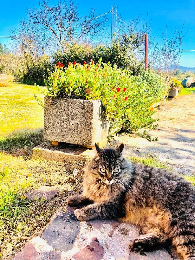Agriturismo Il Paradiso Иглесиас Екстериор снимка